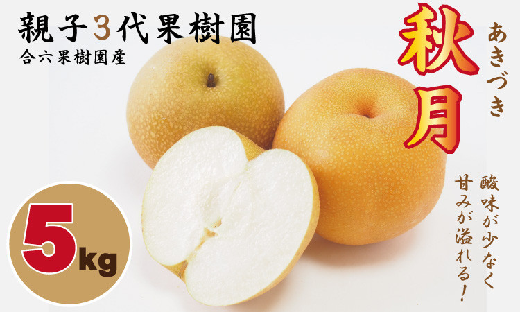 
                  【先行予約】あきづき「秋月」 梨 （５kg）なし 梨 秋月 果物 くだもの フルーツ 冷蔵 親子三世代 農家 合六果樹園 
                