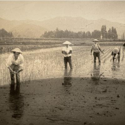 ふるさと納税 南魚沼市 【R7年産】 5kg 厳選こだわり南魚沼産コシヒカリ「こまがた農園のお米」 |  | 02