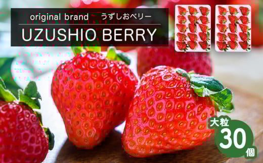【朝摘みをお届け！】フルーツガーデンやまがたのいちご「うずしおベリー」大粒30個  【数量限定】 苺 いちご イチゴ 徳島 鳴門 果物 フルーツ ギフト 甘い 旬 紅ほっぺ