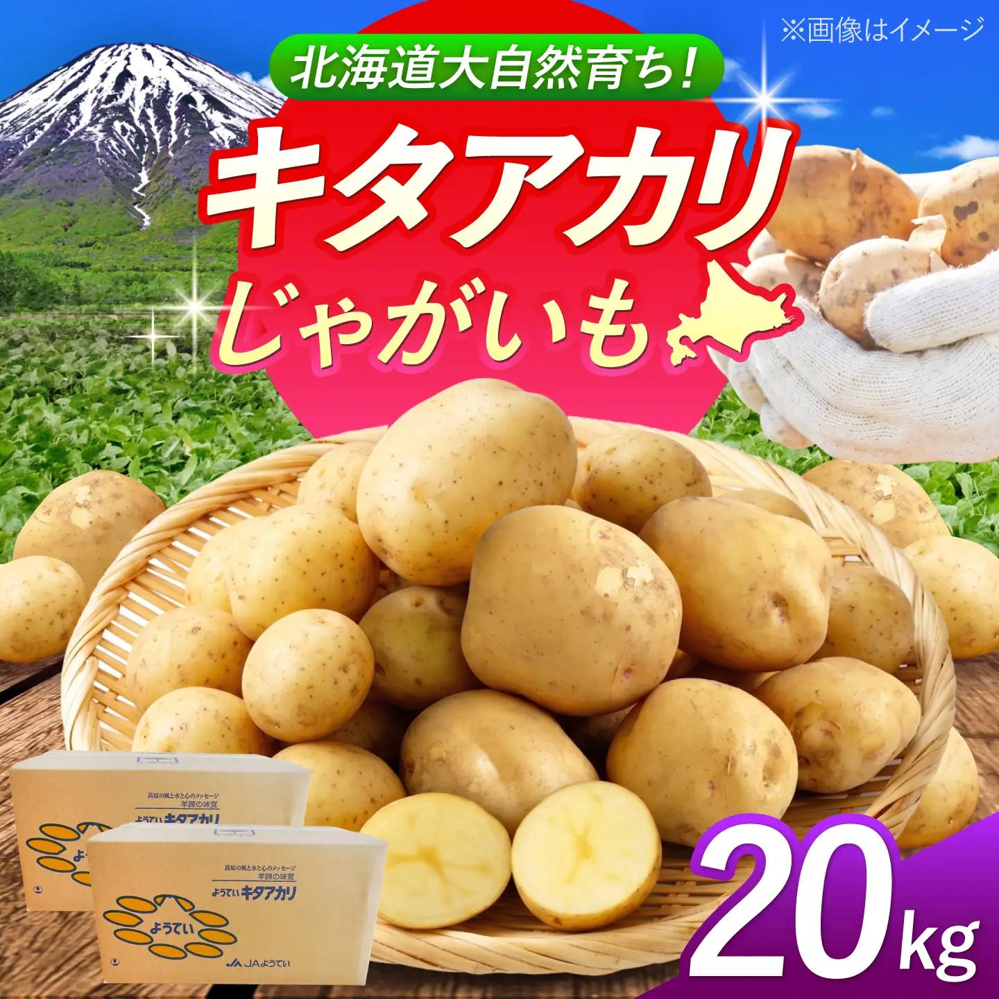 じゃがいも キタアカリ 20kg BPAT006 じゃがいも