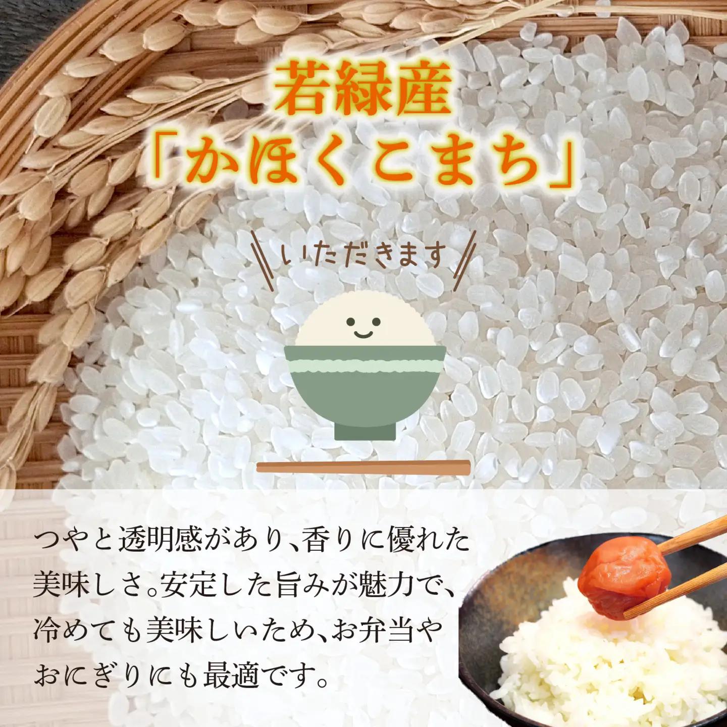 【令和8年産】 かほくこまち 5kg 【2026年11月配送】 | お米 米 かほくこまち