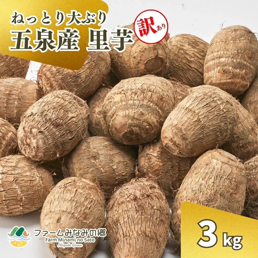 【令和8年産先行予約】【訳アリ】里芋 3kg 五泉産 大玉さといも 2L以上 | 新潟県 五泉市 さといも サトイモ 規格外 野菜