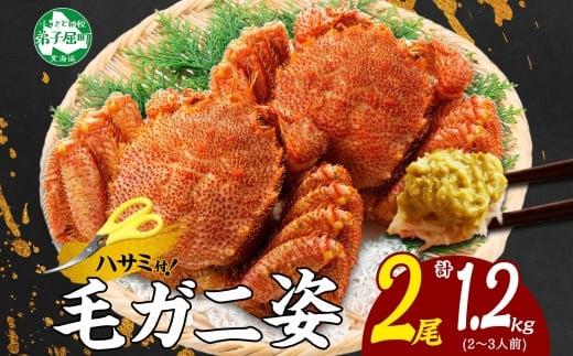 
            3335.毛蟹 2尾 計1.2kg前後 食べ方ガイド・専用ハサミ付 カニ かに 蟹 海鮮 ボイル 送料無料 北海道 弟子屈町
          