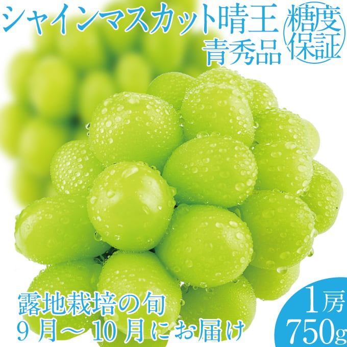 
            2025年 先行予約受付中 シャインマスカット晴王1房 約750g 岡山県産 種無し 皮ごと食べる みずみずしい 甘い フレッシュ 瀬戸内 晴れの国 おかやま 果物大国 ハレノフルーツ [№5735-2156]
          