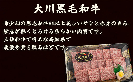 大川 黒毛和牛 ロース 土佐はちきん 地鶏 モモ肉 ムネ肉 3点セット 須崎 高知