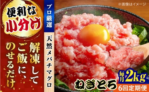 【全6回定期便】まぐろ ねぎとろ 約2kg（約250g×8パック） マグロ ねぎとろ 鮪 マグロ 魚 ネギトロ まぐろたたき 海鮮 海鮮丼 ねぎとろ巻き 小分け 横須賀【横須賀商工会議所 おもてなしギフト事務局（本まぐろ直売所 横須賀本店）】 [AKAK039]