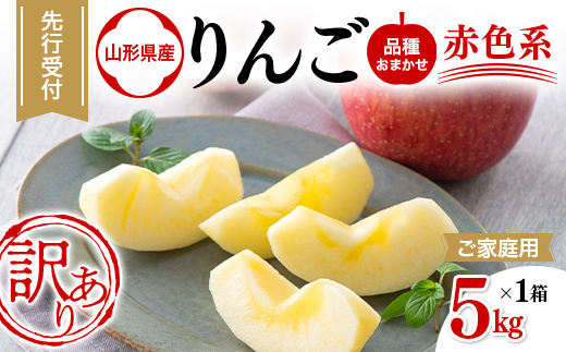 FYN6-598 ご家庭用 山形県産 品種おまかせ りんご 赤色系 約5kg 2026年10月中旬から順次発送 果物 くだもの フルーツ 林檎 リンゴ アップル 秋果実 生産者支援 農業者支援 支援品 自宅用 家庭用 訳アリ ワケアリ 山形県 西川町 月山