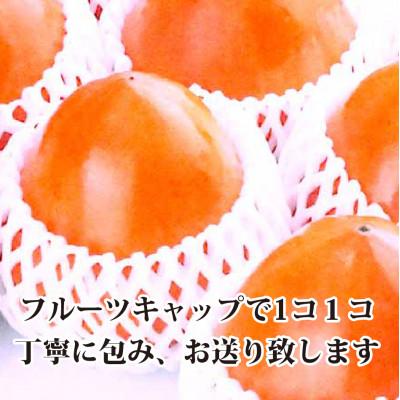 ふるさと納税 八幡浜市 甘さにニッコリ!日本最大級の柿「富士柿」約3キロ【C39-72】 |  | 03