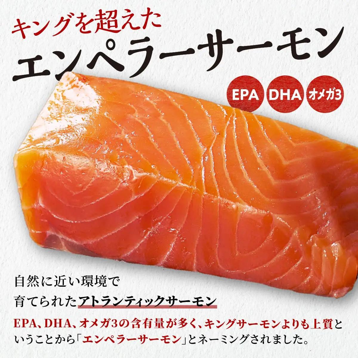 高評価★4.76 ふるさと納税 魚 【総合1位獲得の選べる サーモン 定期便 2回お届け】 エンペラーサーモン 900g 小分け 海鮮 鮭 刺身 さけ サケ ふるさと 人気 ランキング 北海道 白糠町