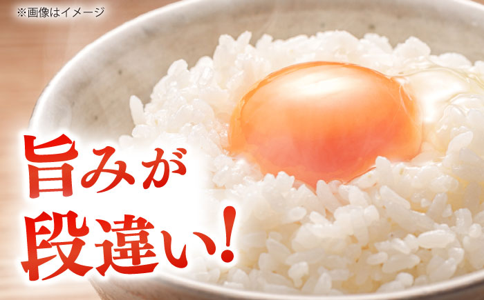 島根が誇るブランド米！仁多米「大峠源流米」2kg（2kg×1）島根県松江市/有限会社藤本米穀店 [ALCG030]