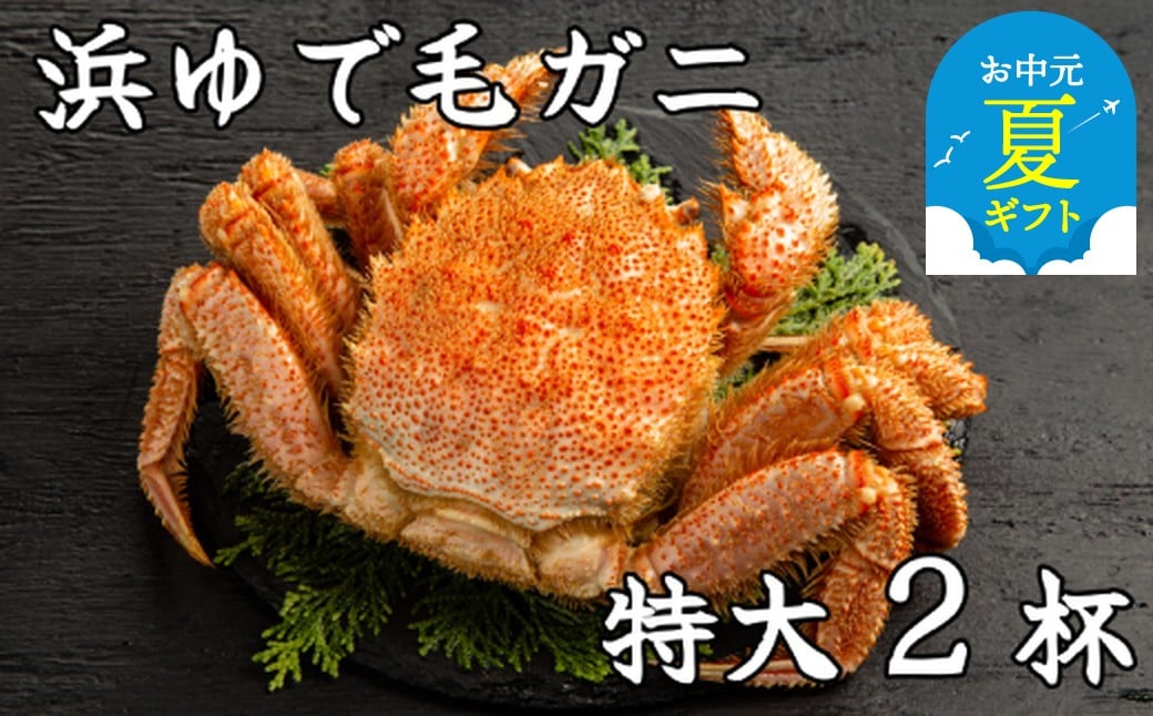 
            52-12 【お中元】流氷明け浜ゆで毛ガニ　特大2杯
          