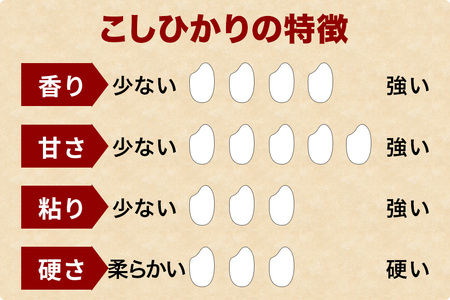 小西農産 令和7年産 コシヒカリ 5kg 米 KE-001