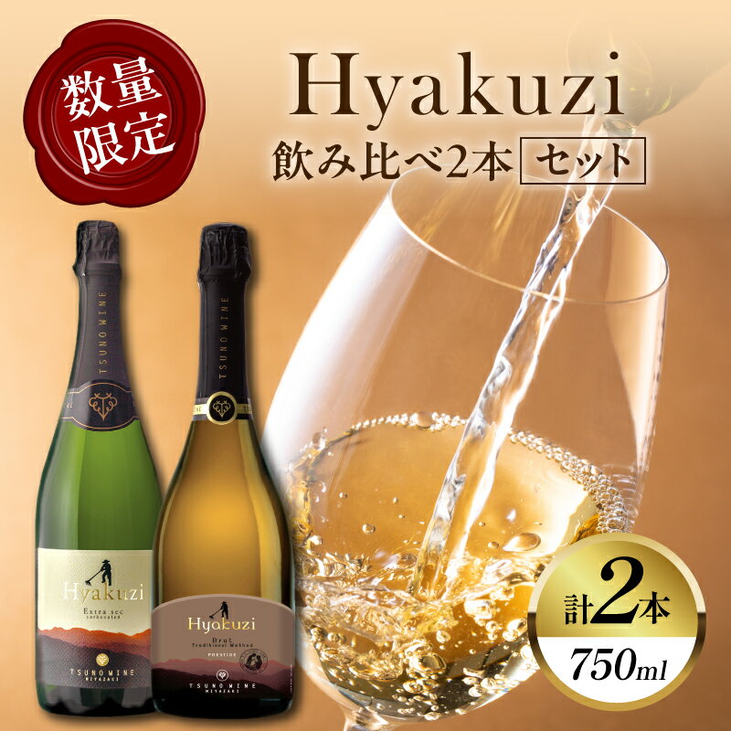 【ふるさと納税】先行予約【期間・数量限定】Hyakuzi 飲み比べ 2本 セット 酒 飲料 アルコール 国産 スパークリング WINE ぶどう ご褒美 お祝 記念日 晩酌 お取り寄せ 人気 おすすめ BBQ バーベキュー グランピング 贈答品 都農ワイン 宮崎県 都農町 送料無料