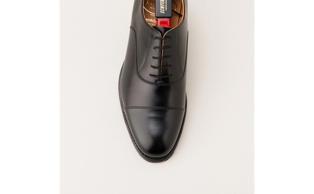 スコッチグレイン 紳士靴 「シャインオアレイン4Eウィズ」 NO.4226 メンズ 靴 シューズ ビジネス ビジネスシューズ  ファッション 仕事用 パーティー フォーマル  24.5cm