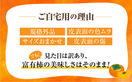 【先行予約】《 訳あり 》 富有柿 ご家庭用 3kg M,L,2Lサイズ 福井農園 [11月上旬～12月上旬に発送予定] ｜富有柿 ふゆうがき かき フルーツ 柿 かき 訳あり 規格外 わけあり 不揃