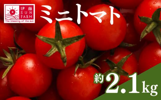 【 先行予約 】 ミニトマト 約 2 kg 以上 トマト プチトマト 小分け 甘い 野菜 やさい サラダ フルーツ 新鮮 旬 ジューシー 濃厚 人気 おすすめ お弁当 期間限定 数量限定 送料無料 産地直送 千葉県 旭市 伊藤SUN FARM isf001
