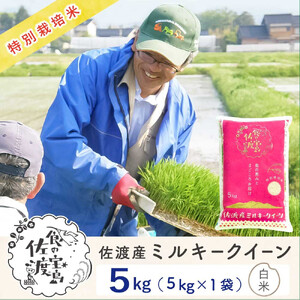 佐渡島産ミルキークイーン 白米5Kg 令和7年産 特別栽培米