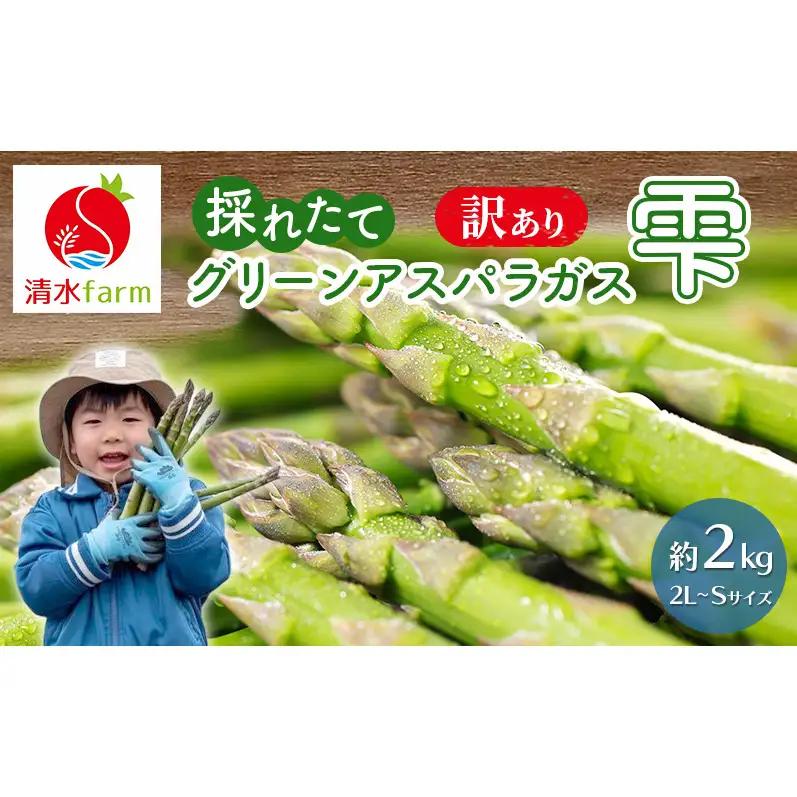 【2027年4月～発送】訳あり 富良野産 採れたて直送! グリーンアスパラ 「雫」2L～Sサイズ【約2kg】 (清水farm) アスパラ アスパラガス 野菜 新鮮 季節限定 北海道 富良野 ふらの