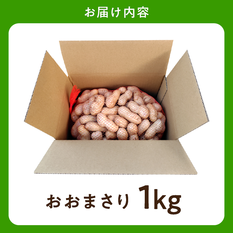 【先行受付 2025年9月中旬～11月中旬発送予定】『おおまさり 生落花生 1kg』 農家直送！落花生 ピーナッツ 殻付き 千葉 おつまみ 大粒