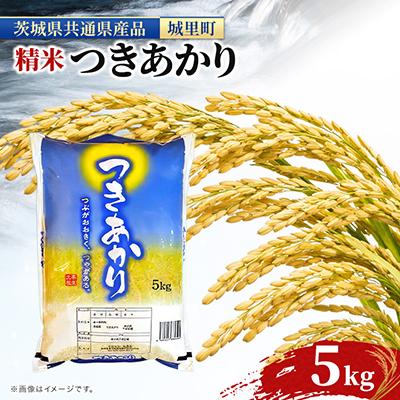 ふるさと納税 水戸市 【令和7年産】つきあかり 5kg 精米 清らかな水田 の 米 (茨城県共通返礼品/城里町)