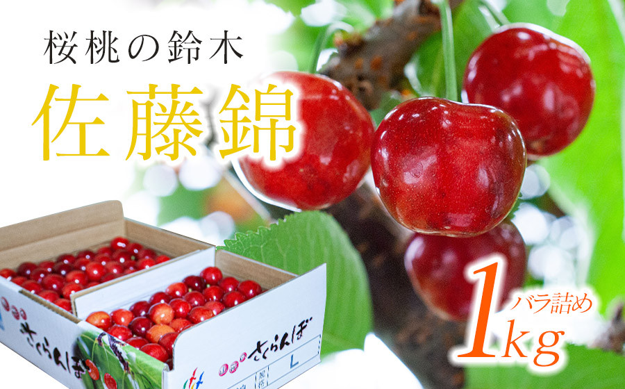 
【令和7年産先行予約】さくらんぼ 佐藤錦 バラ 1kg（500g×2）鶴岡市櫛引産 桜桃の鈴木・鶴岡地区物産協同組合 K-767
