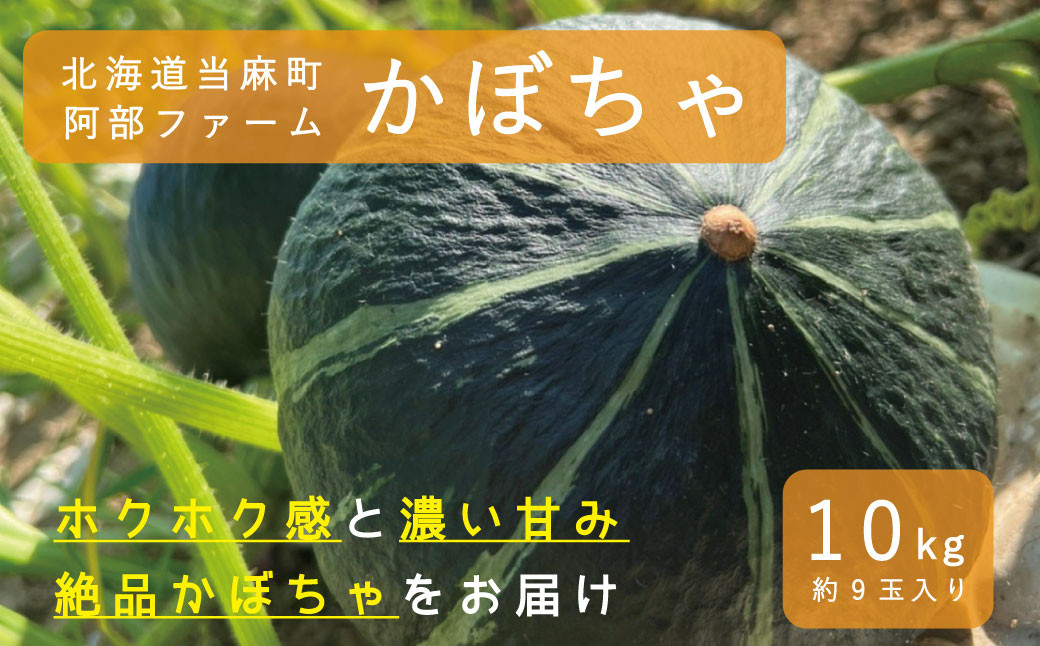 
            【2025年産先行受付】かぼちゃ10kg　北海道当麻町産ダークホース
          