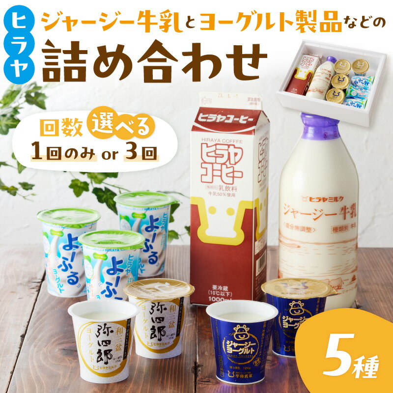 【ふるさと納税】高評価★5.0 高レビュー★ ジャージー牛乳&ジャージーヨーグルト&よーふる &弥四郎ヨーグルト&コーヒー牛乳のセット 1回 3回 定期便 回数 選べる 乳酸飲料 乳酸菌 家庭用 詰め合わせ 牛乳 ミルクコーヒー 牛乳 珈琲 ヨーグルト ふるさと納税 飲むヨーグルト