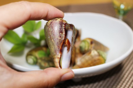 [037007]チャンバラ貝　5kg 