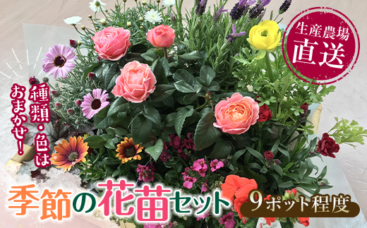 生産農場直送！季節の花苗セット (9ポット程度) F6L-868