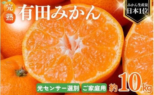 【2026年10月発送予約分】＼光センサー選別／農家直送 こだわりの完熟有田みかん 約10kg＋150g(傷み補償分) 【ご家庭用】 【10月発送】有機質肥料100% 有田みかん みかん ミカン 蜜柑 柑橘 果物 フルーツ 甘い 温州みかん 先行予約【nuk101-10】