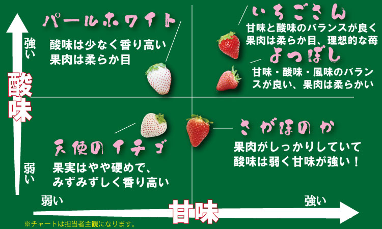  【先行予約（１月から順次出荷】 さがほのか（280ｇ×３パック）（ふるかわ農園）苺 農家 直送品 いちご