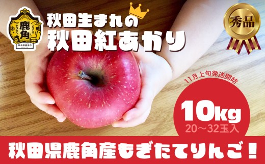 《 先行予約 》秋田県鹿角産りんご 秀品「秋田紅あかり」約10kg（20～32玉入）●2026年11月上旬発送開始 【ケーケー農園】かづのりんご 食感 果汁 さっぱり リンゴ 完熟 旬 県産りんご 林檎 お中元 お歳暮 贈り物 お見舞い グルメ ギフト 故郷 秋田 あきた 鹿角市 鹿角 送料無料