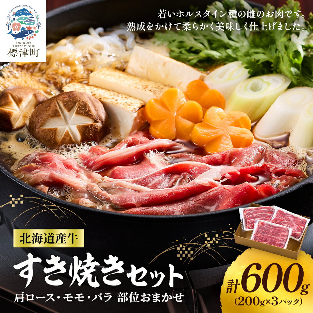 【ふるさと納税】北海道産牛すき焼き用　部位おまかせ600g(200g×3)　牛肉 赤身 熟成肉 モモ バラ 肩ロース【配送不可地域：離島】【1123444】