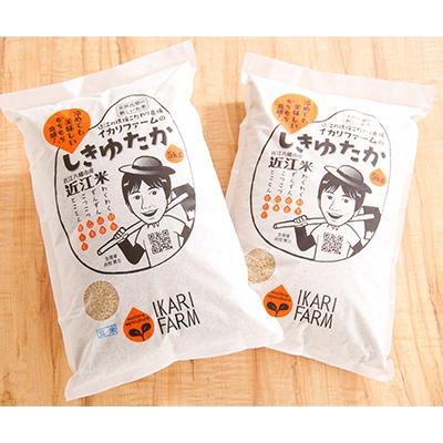ふるさと納税 近江八幡市 【令和7年産】すっごいもちもち「しきゆたか」玄米10kg(5kg×2袋)
