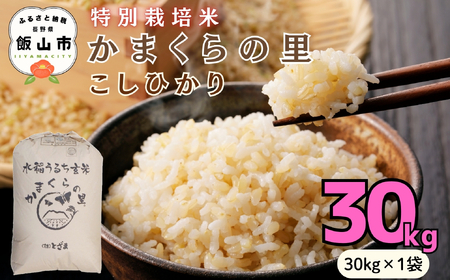 玄米 30kg【数量限定】令和7年産 コシヒカリ 長野県産【かまくらの里こしひかり】7-3A