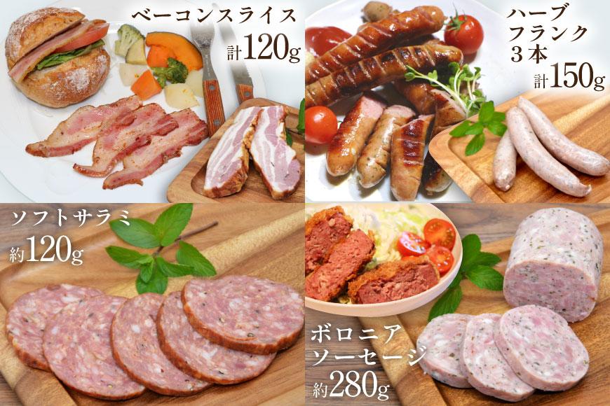 ソーセージ 定期便 6回 詰め合わせ 4点 セット [安曇野食工房 長野県 池田町 48110919] フランク ベーコン サラミ