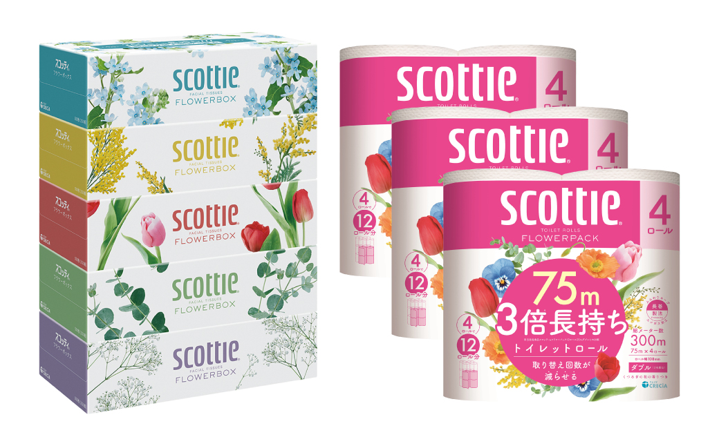 【定期便6回】【毎月お届け】【スコッティ】 ティシュー フラワーボックス 250組（5箱パック×1セット）＋フラワーパック 3倍長持ち（4ロール（ダブル）パック ×3セット） ティッシュ トイレットペーパー 日用品 ストック