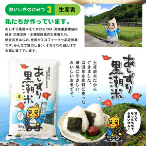 令和6年産 新米 あしずり黒潮米10kg（5kg×2袋）【コシヒカリ】精米 新米 白米 こめ コメ おコメ こしひかり ブランド米 10キロ 国産 送料無料 高知県【R01190】