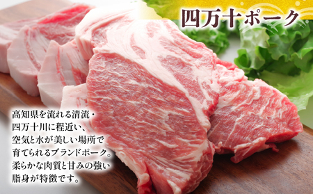 ハンバーグ 四万十ポーク 入り 3.6kg 200g 18個入 化学調味料 不使用 ﾊﾝﾊﾞｰｸﾞ保存料 無添加 ﾊﾝﾊﾞｰｸﾞ 高知県 須崎市 ﾊﾝﾊﾞｰｸﾞ 合挽き ﾊﾝﾊﾞｰｸﾞ肉汁たっぷり ﾊ