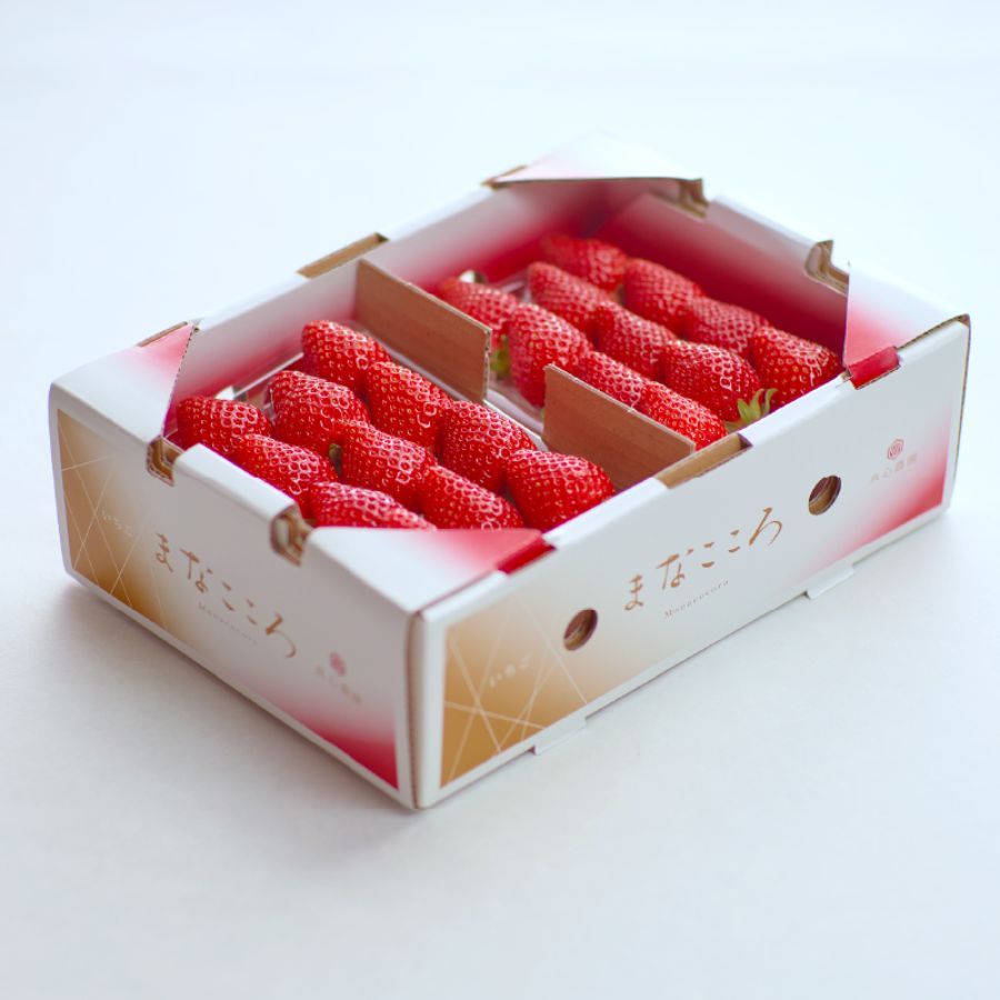 ＜まなこころ＞葵　とちおとめ1箱（2パック入り）520ｇ　1パック当たり260ｇ（15～20粒）