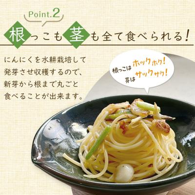 ふるさと納税 角田市 スプラウトにんにく 12片　国産ホワイト六片使用、水耕栽培 |  | 03