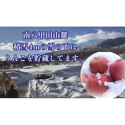 【2025年3月発】希少なりんご!　青森雪貯蔵りんご(サンふじ)　3kg箱【離島・沖縄配送不可】【配送不可地域：離島・沖縄県】