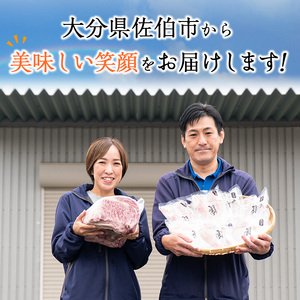 ＜定期便・全3回 (4か月ごとの発送)＞プライム牛 塩ハラミ(総量1.2kg) 定期便小分け 牛肉 肉 ハラミ 牛はらみ 味付け 焼肉 塩 BBQ 冷凍 大分県 佐伯市【DH321】【ネクサ】
