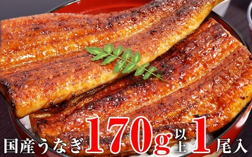特大サイズ国産うなぎ蒲焼き170ｇ 1本セット(A1003-2)
