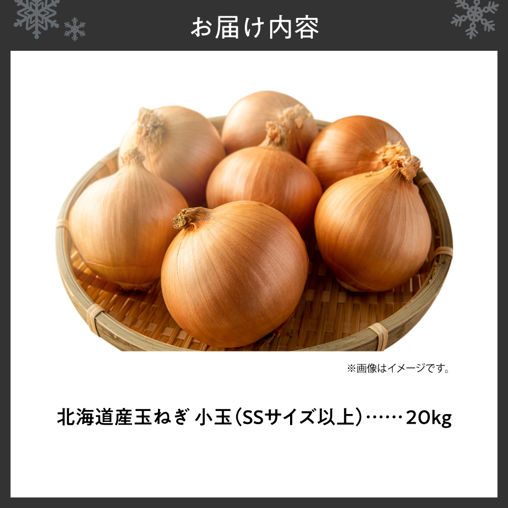 玉ねぎ 北海道産 小玉 20kg SSサイズ以上 | たまねぎ 野菜 北海道 札幌市