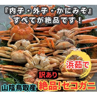 ふるさと納税 岩美町 鳥取網代港【訳あり】浜茹で!絶品セコガニ1kgセット【さかなや新鮮組】