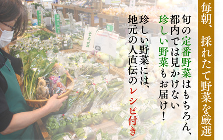 旬の野菜と果物セット 1年間の定期便　【 野菜 】