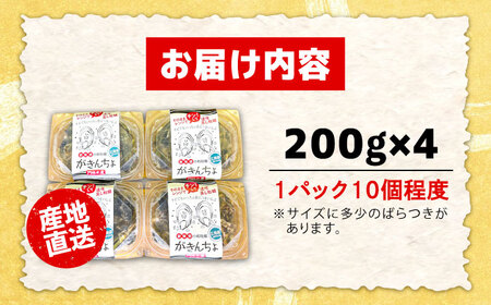 生産量日本一！【生牡蠣】レンジでチンするだけ簡単！江田島の小粒牡蠣『がきんちょ』(200g×4パック) 人気 かき 広島 料理 簡単 レシピ 和食 ギフト 江田島市/株式会社門林水産[XAO003]