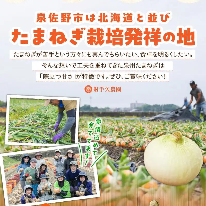 【先行予約】泉州たまねぎ 10kg 玉ねぎ たまねぎ