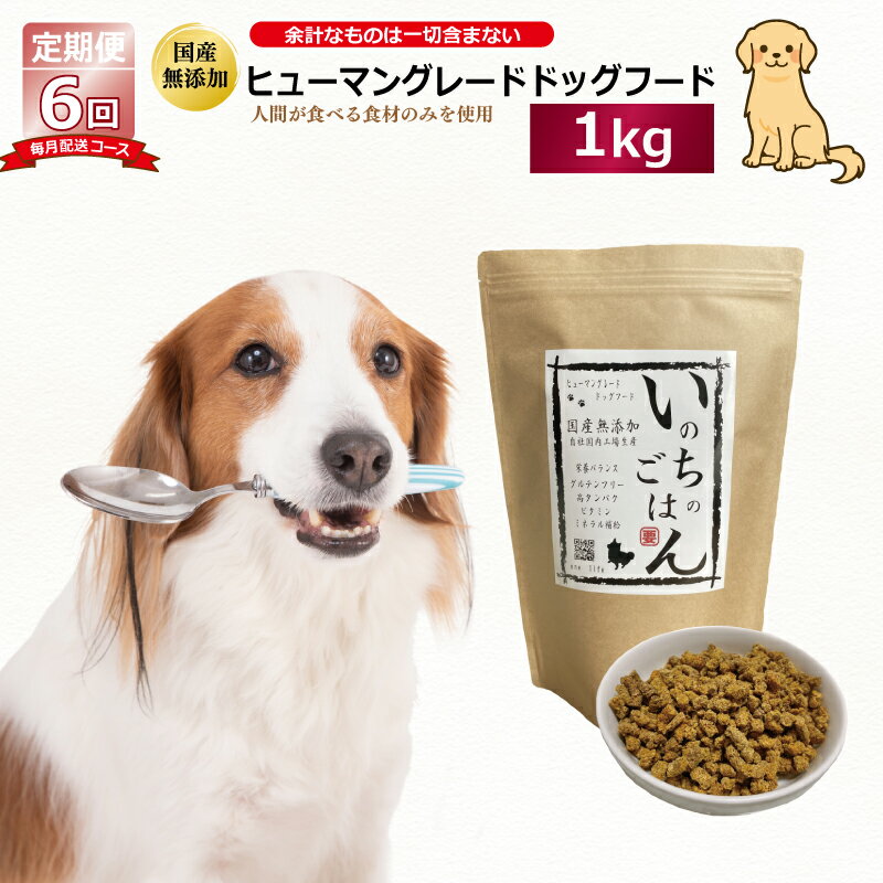 【ふるさと納税】【定期便】 国産 無添加 ドッグフード いのちのごはん 1kg × 全6回 【毎月配送】 国内製造 犬 健康 ヒューマングレード 厳選 グルテンフリー ノンオイル 素材本来の味 保存料不使用 栄養バランス 高タンパク ビタミン ミネラル 大阪府 泉佐野市 送料無料